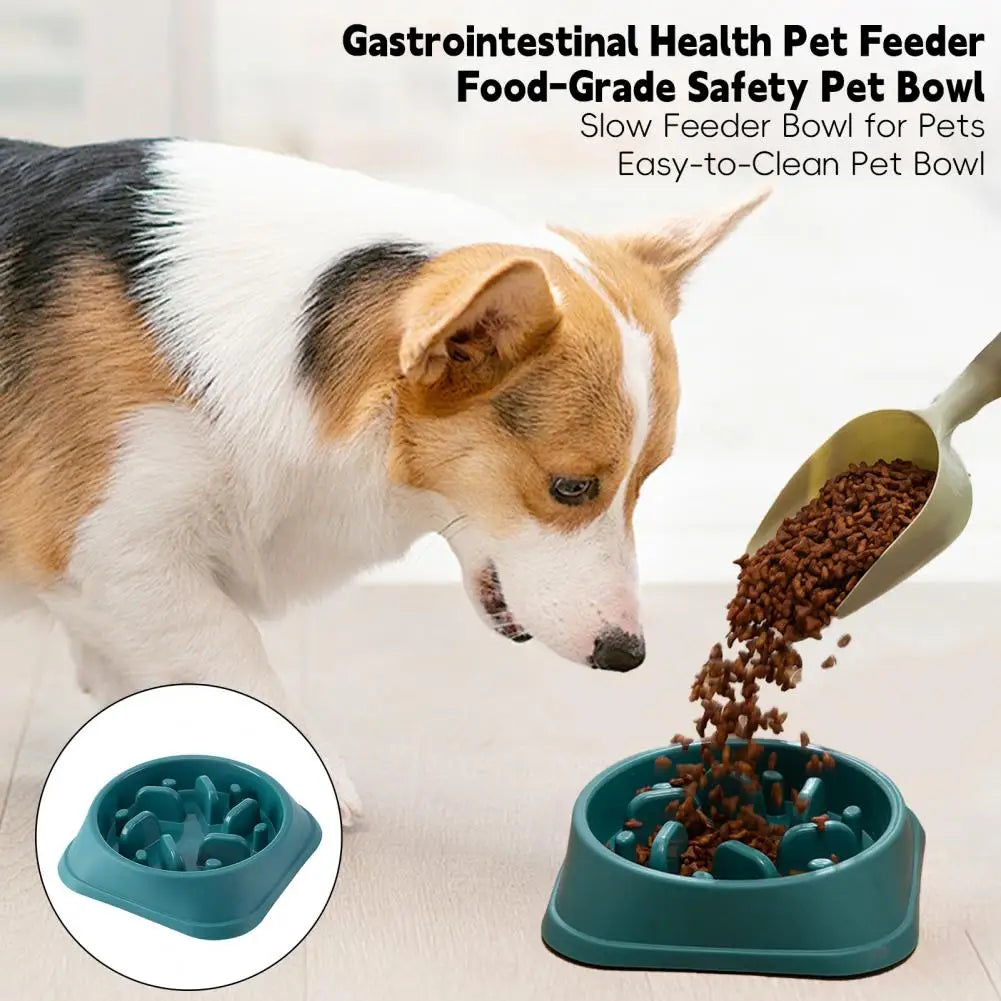 Anti‑Schling Napf – Rutschfester Slow Feeder Bowl für Hunde | Puzzle‑Maze Futterstation (verschiedene Farben)