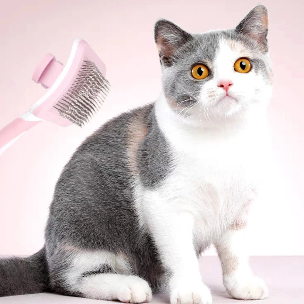 Selbstreinigende Slicker‑Bürste – Für Hunde & Katzen | One‑Click Reinigung | Sanft & effektiv gegen lose Haare, Knoten & Verfilzungen (verschiedene Farben)