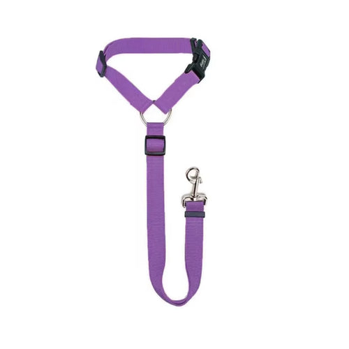 2‑in‑1 Pet Car Seat Belt – Verstellbarer Sicherheitsgurt & Nylon‑Leine für Hunde (verschiedene Farben)