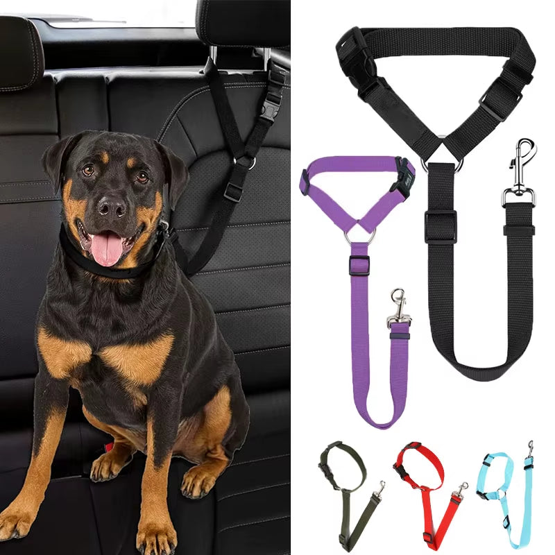 2‑in‑1 Pet Car Seat Belt – Verstellbarer Sicherheitsgurt & Nylon‑Leine für Hunde (verschiedene Farben)